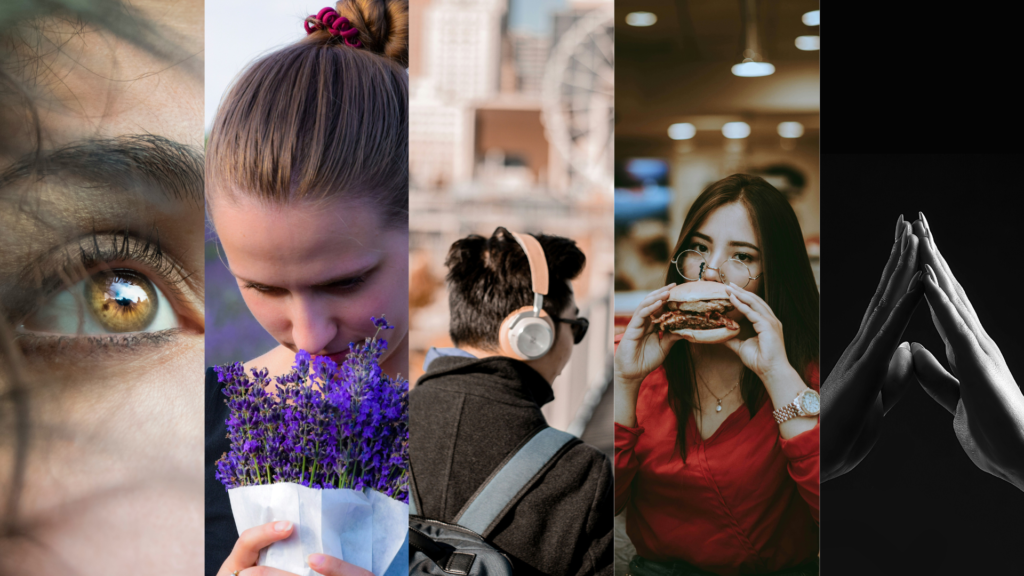 Collage showing the five senses with images of scent, sound, touch, sight, and taste.