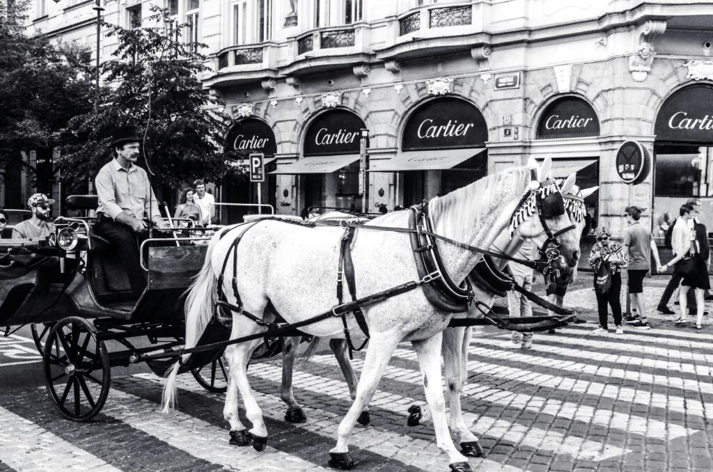 A horse and people dressed in traditional attire, symbolizing heritage, with a carrier store in the background.